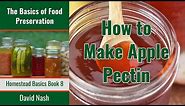 How to Make Homemade Apple Pectin | How to Extract Pectin from Apples | Make Your Own Pectin