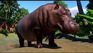 Planet Zoo - Hippopotamus Gameplay (PC HD) [1080p60FPS]