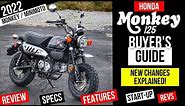 New Honda Monkey 125 Review: Specs, Changes Explained + More! | miniMOTO 125cc Motorcycle