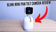 Blink Mini Pan Tilt Camera Review