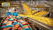 How Potato Chips Are Produced In CRAZY Amounts | Potato Harvesting Factory - Chips Processing Line