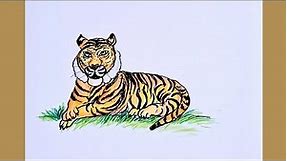 How to draw a Royal Bengal Tiger | Tiger drawing step by step | Very easy drawing