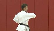 Karate Elbow Strikes