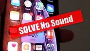 iPhone XS: Five Ways to Fix No Sound / Audio Problem