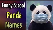 Panda Names Funny &cool. Cute Panda names. Boy & girls Panda names. Famous minecraft Panda names.