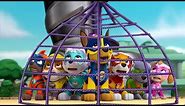 Paw Patrol Mission Paw - Mighty Pups Rescue Team Rubble, Skye Training Day - Nickelodeon Kids Games