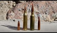 243 vs 6.5 Creedmoor: Which Is Best For You?