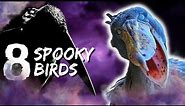 Scary, Spooky, Birds that Will Give You Chills! for Halloween