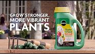 How to Grow Stronger, More Vibrant Plants Using Miracle-Gro® Shake 'n Feed® Plant Food