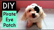 DIY Pirate Eye Patch for Dog | How to Crochet the Eye Patches | Rainbowww DIY