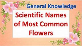 Scientific Names Of Most Common Flowers