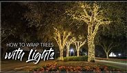How To Wrap Trees With Lights