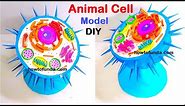 animal cell model 3d making using cardboard | DIY science project | craftpiller @howtofunda