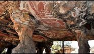 Australian Cave Painting Found To Be One of World's Oldest