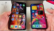 iPhone XS Max vs iPhone X: Everything You NEED to Know!