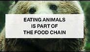 Humans Are at the Top of the Food Chain