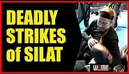 DEADLY STRIKES of SILAT