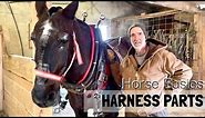 HORSE BASICS #3: Draft Horse Harness Parts // D-Ring Harnesses