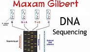 Maxam gilbert DNA sequencing method