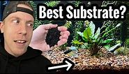 Top 5 Best Planted Tank Substrates for Live Plants