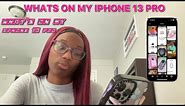 WHATS ON MY IPHONE 13 PRO? *iOS 16* + mini case collection