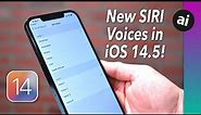 Listen to Siri's NEW VOICES In iOS 14.5 PLUS How To Change Them!