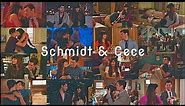 New Girl - Schmidt & Cece - [The Story]