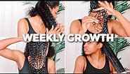 HOW TO TRIPLE YOUR HAIR GROWTH IN 1 WEEK FAST (WEEKLY HAIR GROW ROUTINE for 3B-4A)