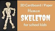 3D Human Skeleton (with labels) school project for kids