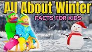 All About Winter! Snow, Winter & Glaciers (Facts for Kids)