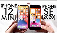 iPhone 12 Mini Vs iPhone SE 2020! (Comparison) (Review)