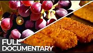 The WAY of our FOOD | Food Production Processes | Free Documentary