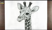 Giraffe Drawing || How to Draw Giraffe Step by Step for Beginners || Giraffe Face Drawing
