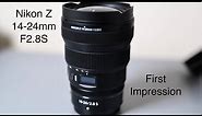 Nikon Z 14-24mm F2.8S. A First Quick look + Overview of how you can use filters.