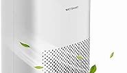 Air Purifiers for Home, H13 HEPA Air Purifiers for Large Room up to 1190ft² with 3-in-1 Washable Filters,Air Cleaner Filters Pet Dander Odor Smoke Pollen with Sleep Model, Night Lighting,Timers