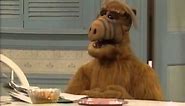 ALF best moment :D Willy, Willy, Willy