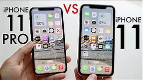 iPhone 11 Vs iPhone 11 Pro In 2023! (Comparison) (Review)