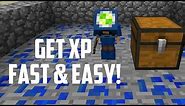 Hypixel Skyblock - GET XP FAST & EASY with the LAPIS MINION!
