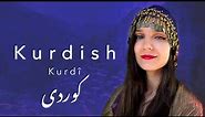 About the Kurdish language