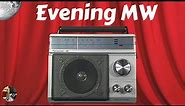 Realistic Portavision-60 AM FM TV Radio Evening MW