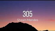 Shawn Mendes - 305 (Lyrics)