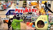 My Cat's Monthly Petsmart Haul 2021 / Shopping for cat supplies, new treats & toys