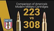 223 vs 308: Best SHTF Rifle Cartridge