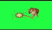 Cheems Jump and Bonk Green Screen in HD | doge and cheems meme | VIDEOSTIME