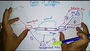 explain mobile ip with diagram | Mobile Computing | lec 40 | Bhanu priya