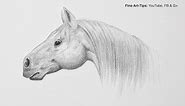 How to Draw a Horse Head Step by Step - Easy - Narrated