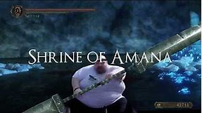 Power Stance in Shrine of Amana - Dark Souls 2