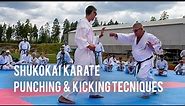 Shukokai Karate Summer Gasshuku in Savitaipale, Finland 2021 - PART 1