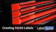 Creating 5S/6S Labels & Signs with LabelSuite™