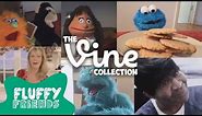Fluffy Friends - Epic Comedy Vine Compilation